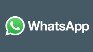 WhatsApp使用教程-Google Seo实战与工具推荐