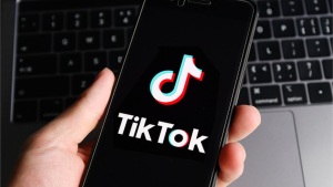 TikTok赚钱的八种思路-Google Seo实战与工具推荐