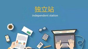 独立站通过判断用户语言跳转到不同页面-Google Seo实战与工具推荐